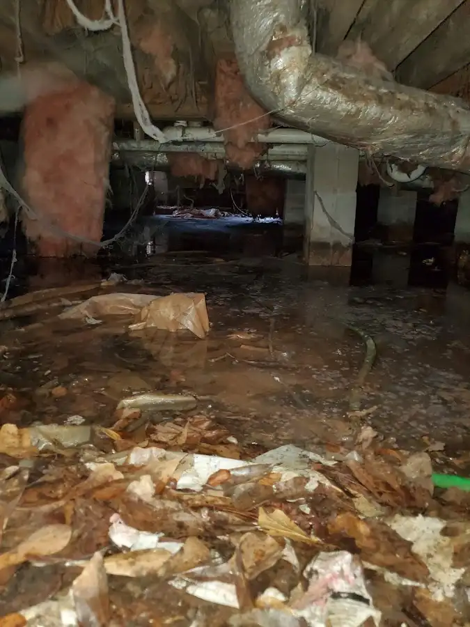 Crawl space flood assessment for Commercial Water Damage Restoration in Webster Groves