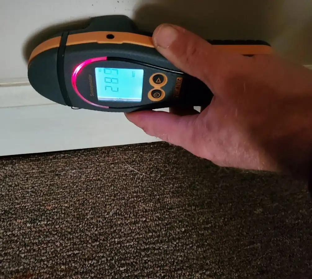 Moisture detection at baseboard during Burst Pipe Cleanup in Webster Groves